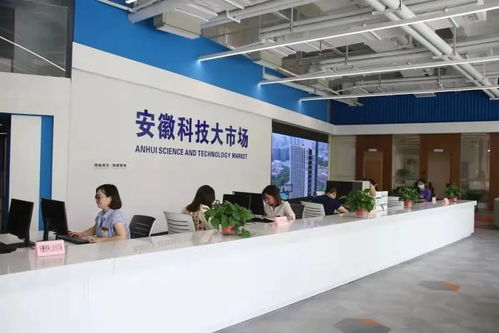 安徽科技大市场公开遴选科技信息咨询服务机构，助力科技创新发展