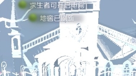 福建少儿编程项目加盟代理 打造未来科技小明星的梦幻工厂